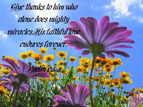 From Facebook on Pinterest