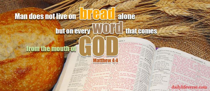 Photo from DailyLifeVerse