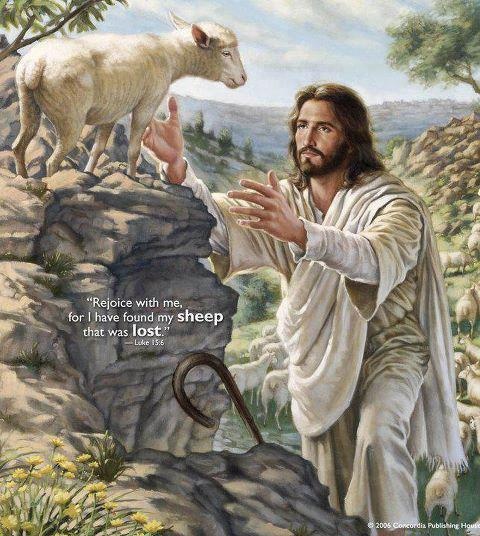 Photo from Pinterest