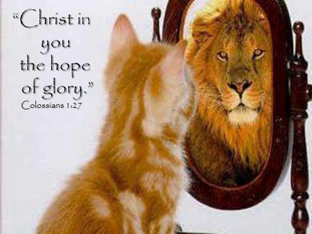 Photo from this site