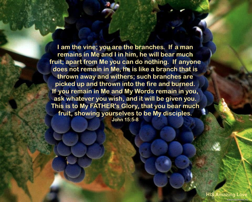 Photo from Pinterest