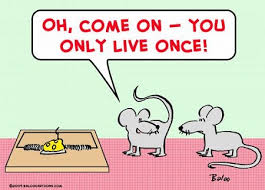 lowres.cartoonstock.com