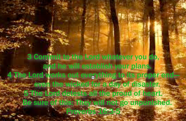 they will not go unpunished