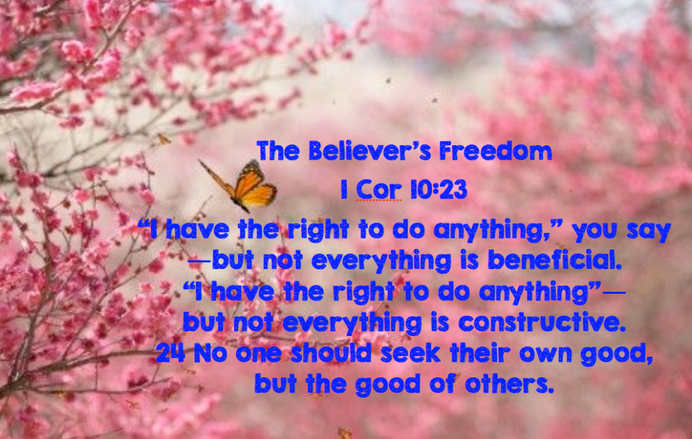 bits believers freedom