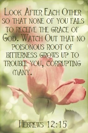 Photo from Pinterest