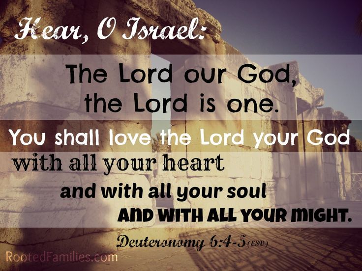 Biblegateway.com's Verse of the Day Feb. 2, 2015