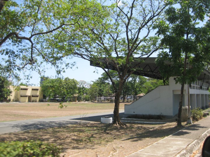 30219_414035413632_8253359_n