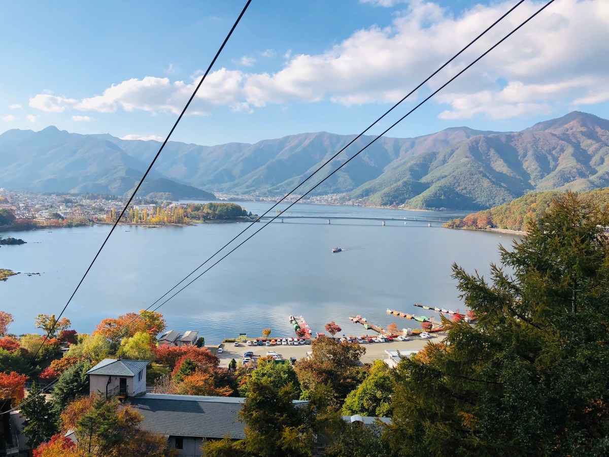 Mount Tenjo Ropeway Tenjo Yama Park Mt. Kachi Ropeway – BUTTERFLY IN THE SPRING
